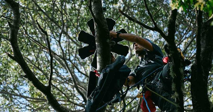 Система акустического мониторинга, разработанная компанией Rainforest Connection (RFCx) Система акустического мониторинга, разработанная компанией Rainforest Connection (RFCx)